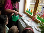 Pozorujeme jak klíčí a rostou semínka